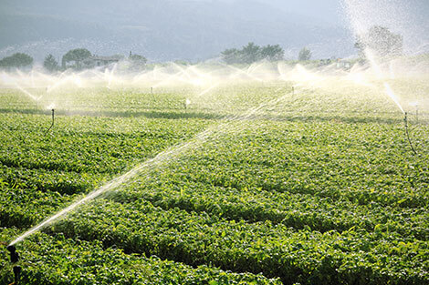 Commercial Irrigation